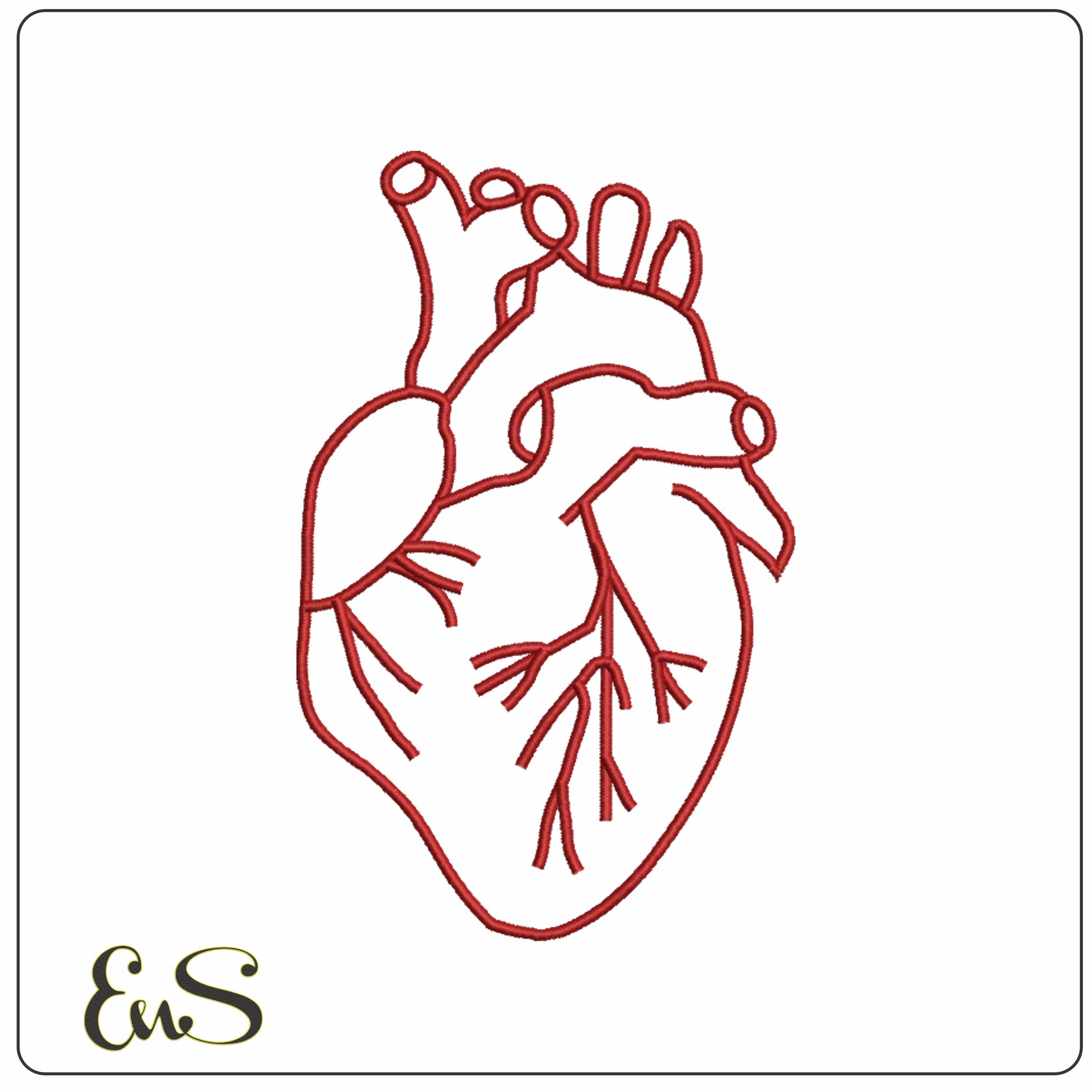 Heart Diagram-Elegant embroidery design file - instant download