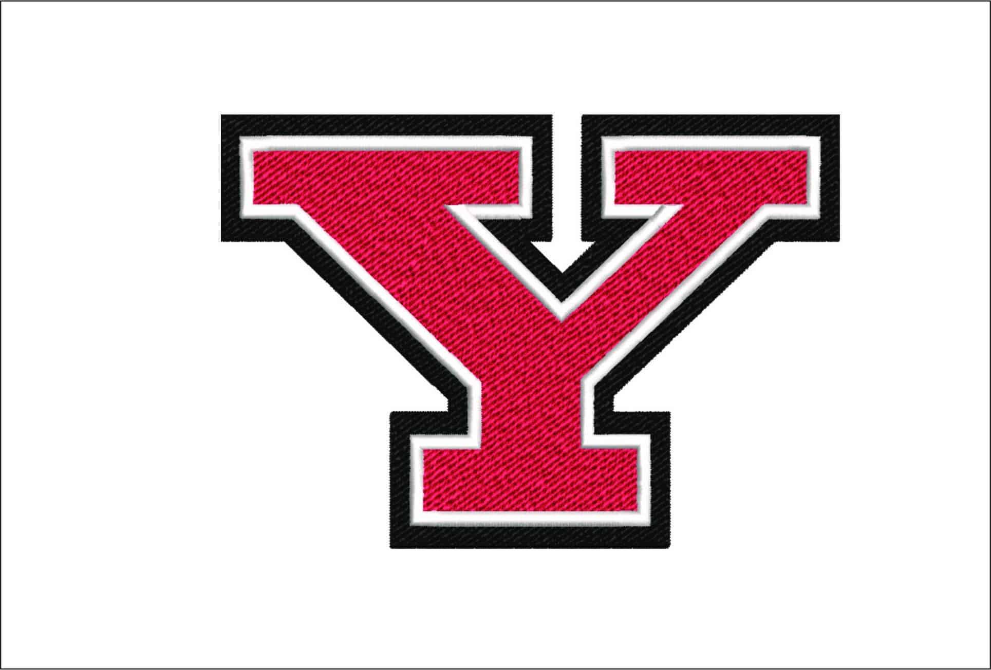 Youngstown-State-Penguins-logo- embroidery design file - instant download
